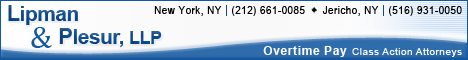 Lipman & Plesur, LLP